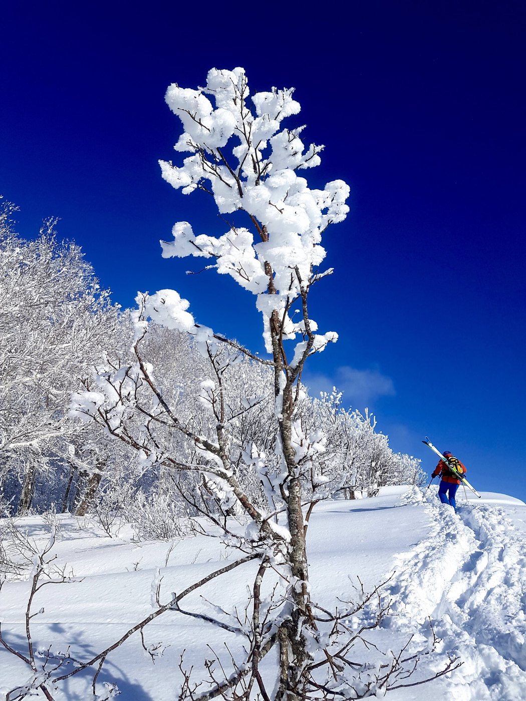 Montagne Escape, sortie en montagne