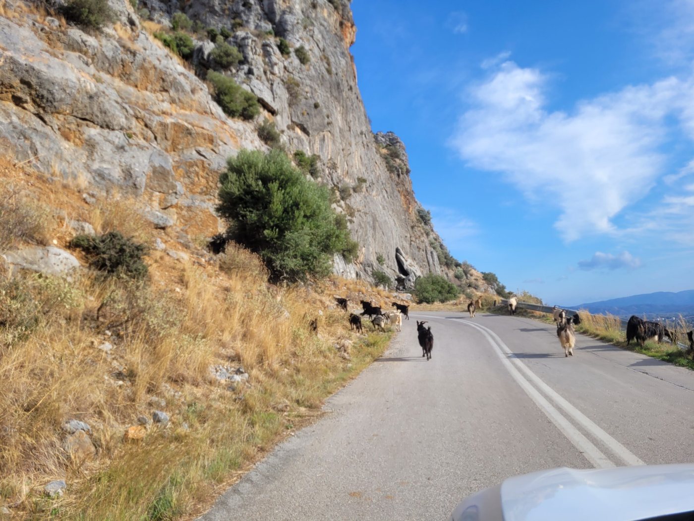 Montagne Escape, sortie en montagne